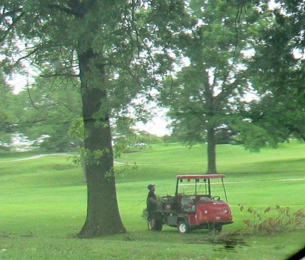 A worker was picking up tree limbs that were down at Painted Hills Golf Course on Friday morning, following a storm. There were more than 12,000 customers without power in Kansas City, Kan., as of 12.25 p.m.