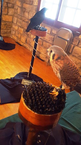 Birds of prey were on exhibit at the  James P. Davis Hall at Wyandotte County Lake Park on Saturday during Eagle Days. (Photo by William Crum)