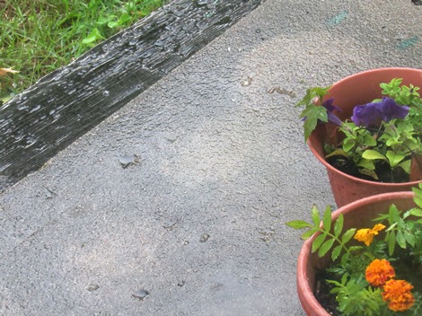 Pea-sized hail fell about 12:30 p.m. Thursday in Wyandotte County.