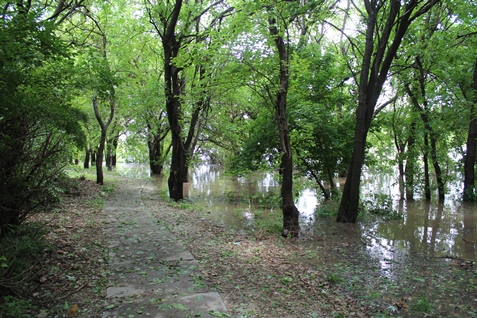 Part of Kaw Point Park in Kansas City, Kan., was under water on Saturday, with the Kansas River in minor flood stage and the Missouri River near flood stage. Water came up to the lower part of the amphitheater. (Photo by Steve Rupert)