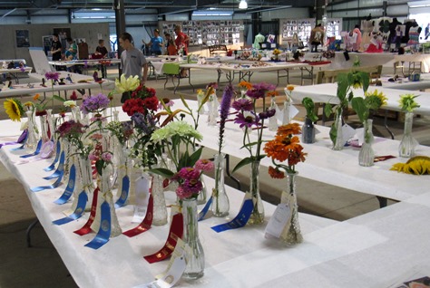 Flower exhibits were holding up pretty well at the fair on Wednesday, considering the summer weather. (Staff photo by Mary Rupert)