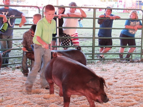 4-H members participated in a swine show on Wednesday at the Wyandotte County Fair. (Staff photo by Mary Rupert)