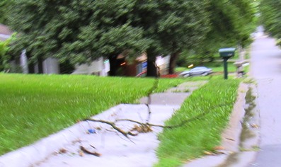 Some limbs were down  today in Kansas City, Kan., near County Line Road, west of South 55th. 