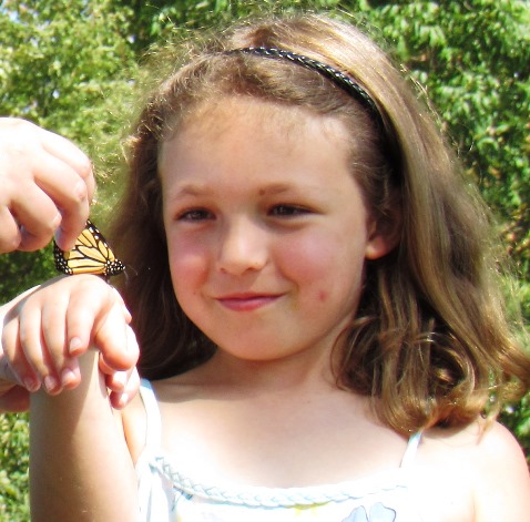 Butterfly Festival teaches about tagging and tracking butterflies