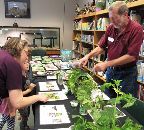 Ed Greenlee, right, a volunteer educator at Schlagle Library, talked about plants that butterflies like at a display inside the library Saturday. (Staff photo by Mary Rupert)