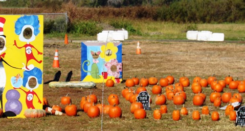 Pumpkins are being given away Saturday at the Reola Grant Center's event  through 4:30 p.m. at Lakeside Speedway in Kansas City, Kan. (Staff photo)